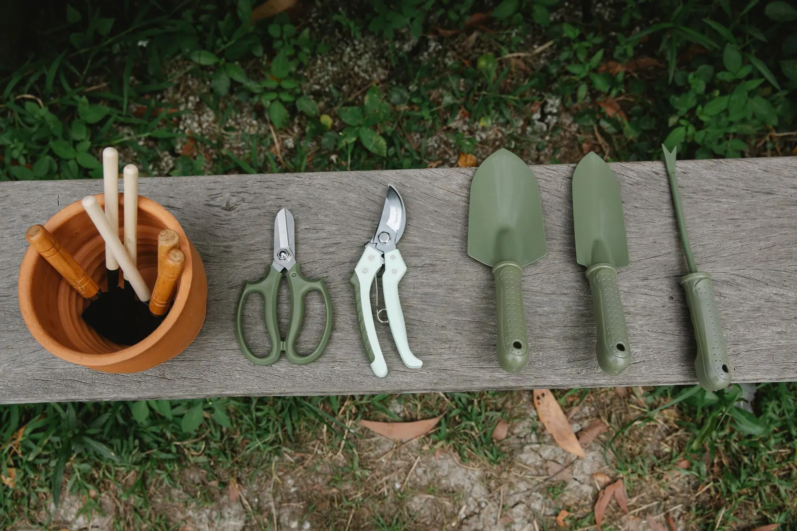 Outils de jardinage alignés sur un banc en bois : ciseaux, sécateur, transplantoirs et déplantoir.