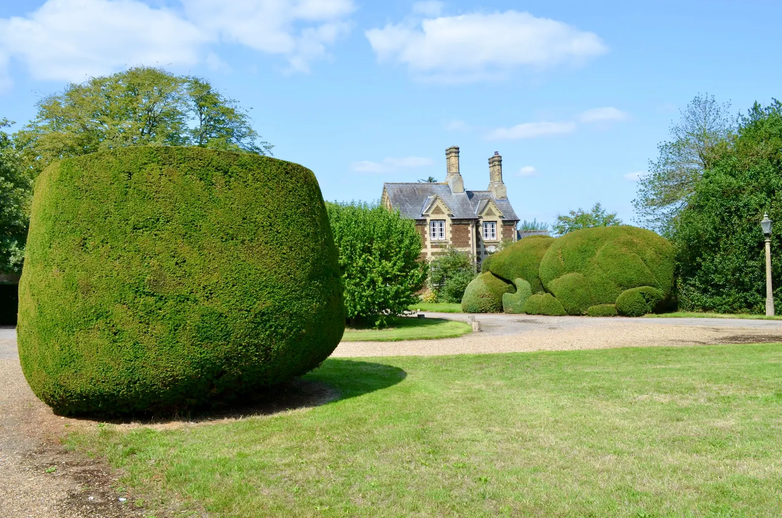 Grandes topiaires taillées en boule sur une pelouse tondue, devant une maison de campagne.