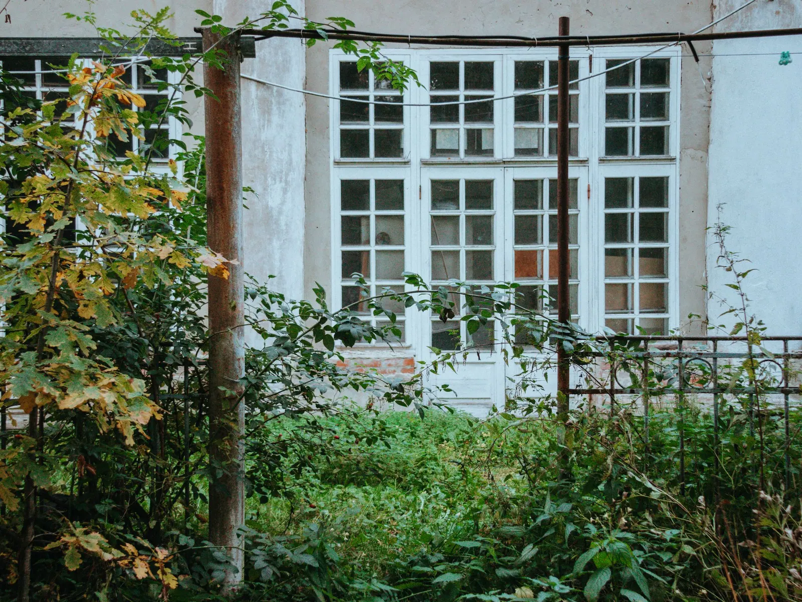 Jardin en friche envahi par les ronces et les herbes hautes devant une façade aux fenêtres blanches.